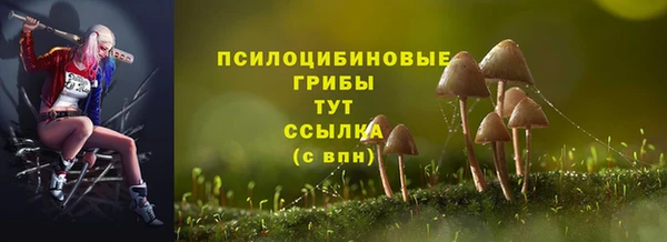 индика Баксан