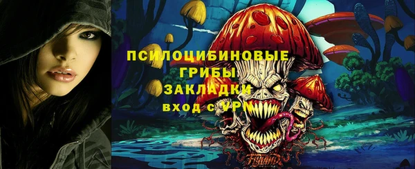 ешки Балахна