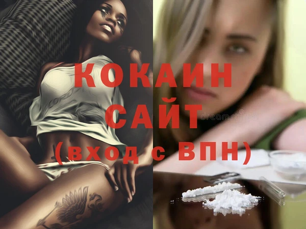 индика Баксан