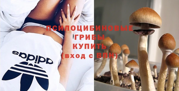 дживик Аркадак