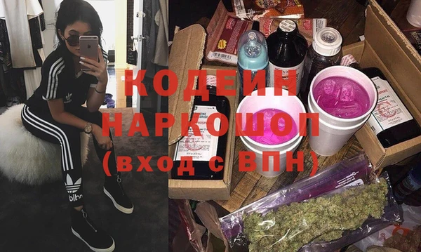 индика Баксан
