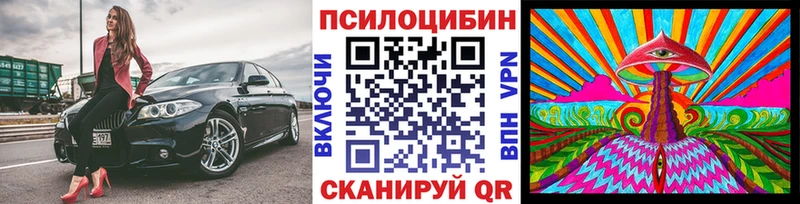 площадка официальный сайт Томмот Псилоцибиновые грибы мицелий как найти ссылка на мегу рабочий сайт