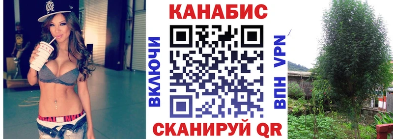 Шишки марихуана OG Kush Томмот